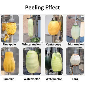 Multifunctional <b>Fruit</b> and <b>Vegetable</b> <b>Peeling</b> MachineMango Skin Peel <b>Machine</b> - Product Image 4