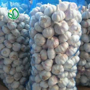 Semillas de <span class=keywords><strong>Ajo</strong></span> en la Agricultura - Product Image 3