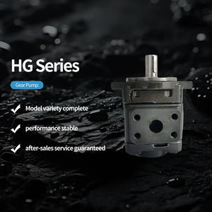 Bomba hidráulica de engranajes de alta presión de la serie HG 8, 10, 13, 16, 20, 25, 32, 40, 50, 63, 80, 100, 125, 145, 160 con engranajes internos - Product Image 1