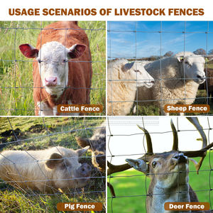 Valla <span class=keywords><strong>Perimetral</strong></span> Fija <span class=keywords><strong>para</strong></span> Granja de 4 pies y 5 pies, <span class=keywords><strong>Malla</strong></span> de Alambre Tejida Galvanizada <span class=keywords><strong>para</strong></span> Ovejas y Vacas, Valla <span class=keywords><strong>para</strong></span> Campo a <span class=keywords><strong>Precio</strong></span> de Fábrica - Product Image 5