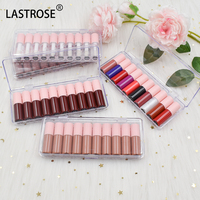 Lot de 10 brillants à lèvres crémeux hautement pigmentés, transparents et scintillants, kit mini gloss OEM, ensemble de rouges à lèvres mats nude