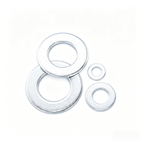 China Professional Galvanized Carbon Steel Flat Washer Factory