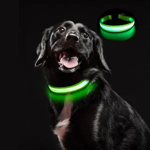 Accesorios para mascotas evitar el peligro de las correas de Nylon USB recargable luminosa Led Collar de perro - Product Image 1