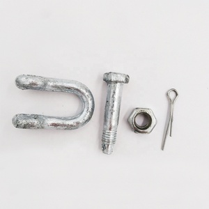 Mỹ <span class=keywords><strong>g2150</strong></span> Dee <span class=keywords><strong>D</strong></span> còng thả giả mạo Bolt Loại Neo và chuỗi còng mạ kẽm còng - Product Image 4