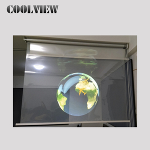 <strong>Transparent</strong> Holographic Foil Stage <strong>Projection</strong> - Product Image 5