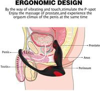 Massage de la Prostate de haute qualité avec anneau pénien hommes jouets sexuels vibrateur Anal plug anal à distance sans fil pour la Masturbation adulte