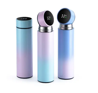 Bouteille d'eau intelligente et moderne en acier inoxydable de 500 ml avec affichage LED de la température, isotherme et rappel de consommation