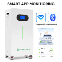 Batterie LiFePO4 fiable pour la maison, 16 kWh, 314 Ah, avec BMS actif, écran LCD et 6500 cycles pour les systèmes d'énergie solaire