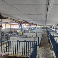 Equipo Completo para Alimentación de Cerdos, Comedero Automático para Cerdos, Sistema para Granjas Porcinas