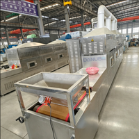 Ligne de séchage en tunnel à micro-ondes en acier inoxydable, équipement de déshydratation continue contrôlé par PLC pour matériaux alimentaires granulaires