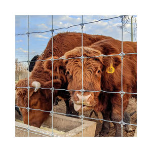 Cercado rural agrícola BOCN, venta al por mayor, valla de campo de guardia de granja para cabra, oveja, ganado, valla para caballos - Product Image 5