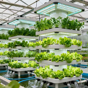 Hệ thống tháp thủy canh dọc thương mại cho nhà kính Rau diếp dâu tây trồng Việt Quất - Product Image 4