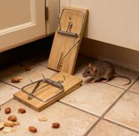 Piège à souris en bois massif à ressort, mécanisme à action rapide pour une lutte efficace contre les rongeurs dans la cuisine, le garage, le grange et le jardin