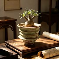 Pots à fleurs en céramique haute température de Jingdezhen pour succulentes et caudiciformes - Jardinières respirantes et résistantes à la corrosion