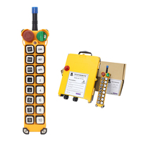 Télécommande sans fil pour palan électrique à double vitesse Telecrane F24-16D 433 MHz 12 VDC 12 touches, certification CE RoHS FCC