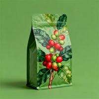 Sachet d'emballage pour grains de café personnalisé imprimé, 250g, 500g, 1kg, étanche à l'humidité, avec fermeture éclair, fond carré et valve, en matériau BOPP