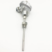 Capteur de température PT100 pour chaudière à vapeur, modèle E820, connexion filetée industrielle, IP65, acier inoxydable, prise en charge OEM personnalisée