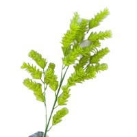 Bahan Bunga Pernikahan Gaya Baru, Dekorasi Bunga Cedar Buatan, Rangkaian Bunga Pernikahan, Rumput Reed, Bunga Plastik Hijau