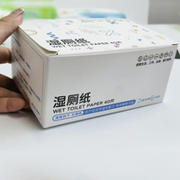 Papier toilette humide lavable écologique personnalisé en gros pour marque privée, emballage individuel, pour usage patientiel et toutes occasions