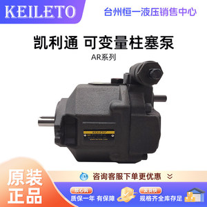 Pompe à piston Kailiton série Ar, Ar1622 Fr01c Bs, déplacement de 16 cm, 2 ch, pompe hydraulique - Product Image 2