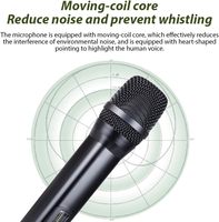Micrófono Dinámico Portátil UHF con Conector Tipo C, Recargable, Inalámbrico, con Cancelación de Ruido, Efecto Eco, Karaoke, Metálico, Bajo Precio