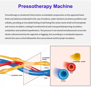 Appareil de massage lymphatique à pression d'air pour usage domestique, modèle 2026, compatible prises EU/US, étanche, prix usine - Product Image 4