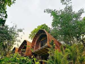 Serre industrielle préfabriquée moderne et écologique 100% verte, 20m², conteneur 20FT 40FT, serres en bois, exportation sans taxes Vietnam - Product Image 6