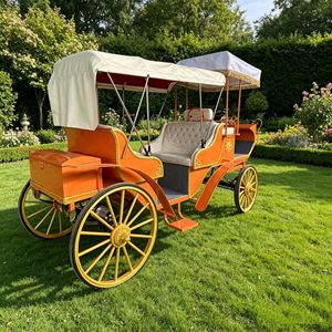 Charrette touristique électrique, charrette à chevaux personnalisée à vendre, chariot pour zone touristique - Product Image 2