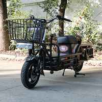 Envío Exportación gratuita África CEE CE Load King Alta potencia Velocidad Eléctrica para llevar Productos de tracción Placa de hierro 60V 72v Motocicleta