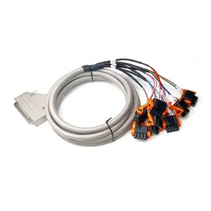 37-Pins Mannelijke Connector D-Sub Kabel Assemblage Kabelboom Voor Auto-Toepassingen