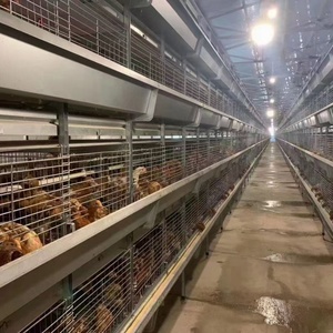 Mạ Kẽm Nhúng Nóng H Loại Tự Động Gà Trang Trại Lồng Điều Kiện Mới Thép Pin Coop Cho Lớp Và Trứng Gà - Product Image 3