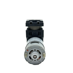 Chất lượng cao Bơm Piston nhỏ cho các ứng dụng nước biển trực tiếp cung cấp Nhà sản xuất chuyển tích cực DC động cơ máy bơm - Product Image 3