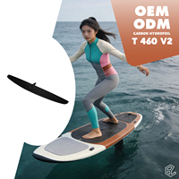 Aile arrière en carbone Dock Start Hydrofoil 460/60 AXIS pour glisse rapide, stabilisateur arrière pour une conduite stable et un contrôle en vent.