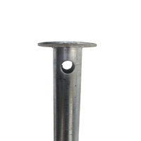Pieux à vis de galvanisation à chaud en acier de 60x1500mm pour les serres de jardins d'hiver de terrasses