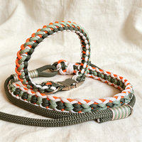 Ensemble collier et laisse pour chien en paracorde, tressé à la main, à libération rapide avec boucle en métal, pour la promenade en plein air, l'entraînement, accessoires pour animaux de compagnie