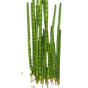E-3120 fabbrica di grandi vasi pianta per la vendita all'aperto pianta artificiale serpente erba <span class=keywords><strong>Bonsai</strong></span> per la casa - Product Image 2
