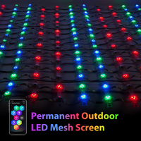 Écran LED flexible transparent en PC, résistant à l'eau IP66, avec 256 LED, pixels personnalisés, plein écran couleur, pour publicité extérieure, maille de 75 mm, éclairage ponctuel LED