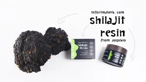 OEM Top Health Food che vende shilajit nero puro shilajit pura resina shilajit organica himalayana 50g