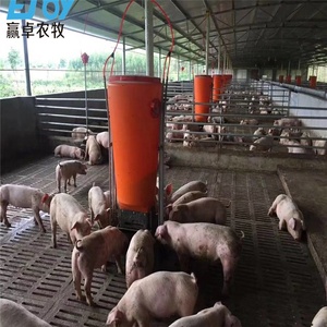 Meilleures ventes Mangeoire pour porcs en <span class=keywords><strong>plastique</strong></span> humide et sec automatique et durable 100kg Mangeoire pour porcelets et porcs de ferme - Product Image 3