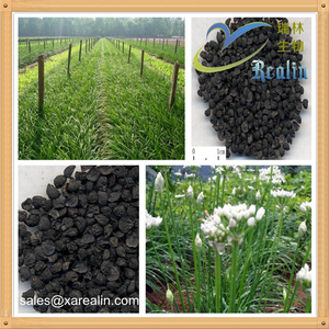 Extracto de Semilla de Cebolleta China en Polvo, Extracto Puro y Natural de <span class=keywords><strong>Allium</strong></span> <span class=keywords><strong>Tuberosum</strong></span> en Polvo, Extracto de Puerro en Polvo - Product Image 5