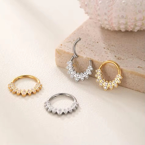 G23 Titane Anneau à segments articulés avec double ligne CZ Bijoux Piercing Nez Boucle d'oreille <span class=keywords><strong>Helix</strong></span> Ear Ring - Product Image 5