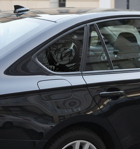 Pegatina para Coche de <span class=keywords><strong>Chucky</strong></span> Mirando Fijamente, Película de Terror Child's Play, Calcomanía de Vinilo Impermeable, Personaje de Muñeca Asesina, Accesorios para Coche - Product Image 5