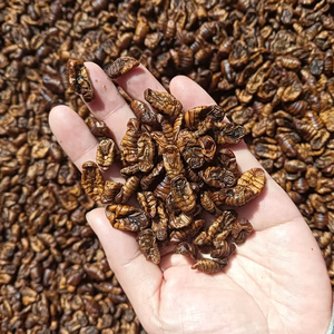 חם מכירת תולעי משי מיובשים גבות חלבון גבוהה לחומינים בעלי חיים - Product Image 2