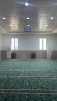 Tapis de prière en rouleau en polypropylène, doux, lavable, personnalisé, brodé, pour mosquée, style égyptien, vente en gros ODM