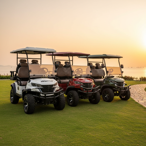 Voitures de golf électriques pliantes chinoises à <span class=keywords><strong>prix</strong></span> abordables – Voiturette de golf à vendre - Product Image 5
