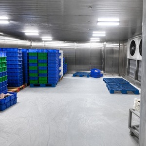 Stainless Steel Negative Cold <b>Room</b> Freezer Hygienic Meat & Seafood Storage Cold <b>Room</b> - Product Image 1