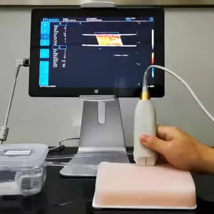 Modelo de Punción Vascular para Ciencias Médicas, Modelo de Punción Vascular Guiada por Ultrasonido para Enseñanza y Entrenamiento - Product Image 2