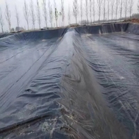 Revestimiento para Estanques de HDPE de 0.3mm, 0.5mm y 1mm, Marca GM13, Nuevo de Fábrica, Personalizado, Utilizado en Agricultura, Recursos Hídricos e Ingeniería Civil