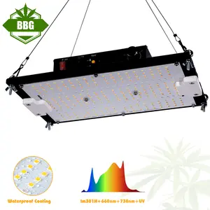 Placa de luz LED de 120 vatios, panel de luz de crecimiento ntegrated lm301h lm281b