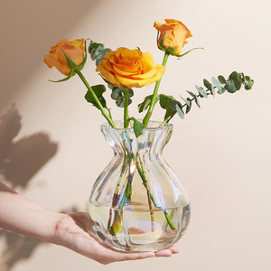 Lấy cảm hứng từ internet người nổi tiếng hiện đại Ins trong suốt Bình thủy tinh đơn giản pháp bàn cho hộ gia đình hoa sắp xếp - Product Image 2